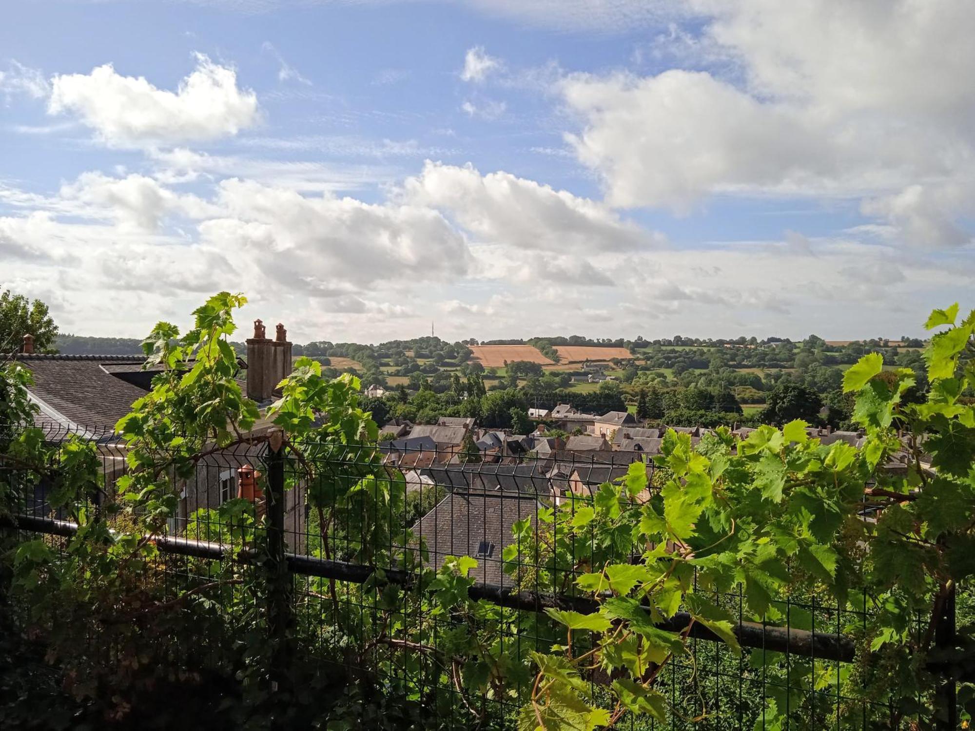 Charming Detached 2 Bedroom Ancient House In Medieval Quarter Of A Small Town In The Pays De La Loire, France Sillé-le-Guillaume Esterno foto